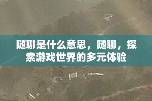随聊是什么意思，随聊，探索游戏世界的多元体验