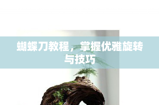 蝴蝶刀教程,掌握优雅旋转与技巧 蝴蝶刀教程,掌握优雅旋转与技巧