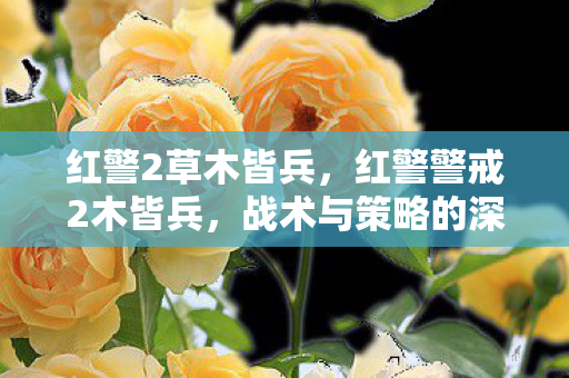 红警2草木皆兵,红警警戒2木皆兵,战术与策略的深度剖析 红警2草木皆兵,红警警戒2木皆兵,战术与策略的深度剖析