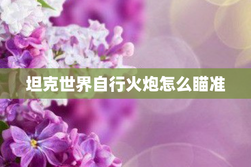 坦克世界自行火炮怎么瞄准