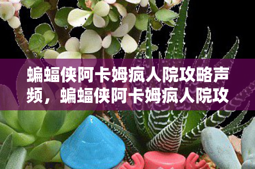蝙蝠侠阿卡姆疯人院攻略声频，蝙蝠侠阿卡姆疯人院攻略