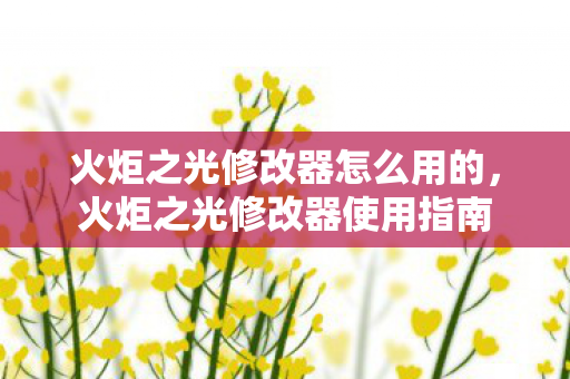 火炬之光修改器怎么用的，火炬之光修改器使用指南