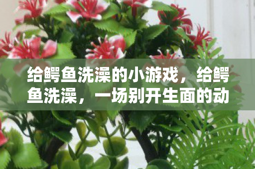 给鳄鱼洗澡的小游戏，给鳄鱼洗澡，一场别开生面的动物护理挑战