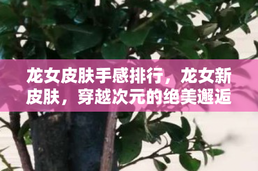 龙女皮肤手感排行,龙女新皮肤,穿越次元的绝美邂逅 龙女皮肤手感排行,龙女新皮肤,穿越次元的绝美邂逅