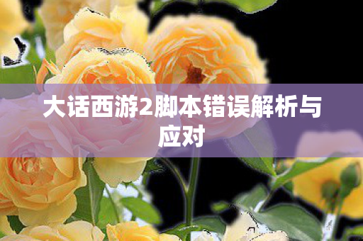大话西游2脚本错误解析与应对 大话西游2脚本错误解析与应对