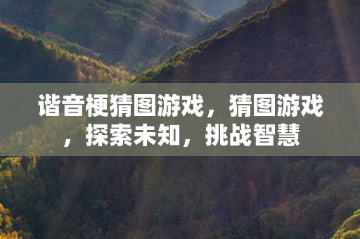 谐音梗猜图游戏，猜图游戏，探索未知，挑战智慧