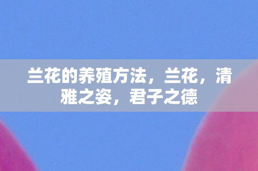 兰花的养殖方法，兰花，清雅之姿，君子之德