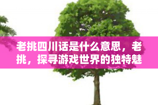老挑四川话是什么意思，老挑，探寻游戏世界的独特魅力