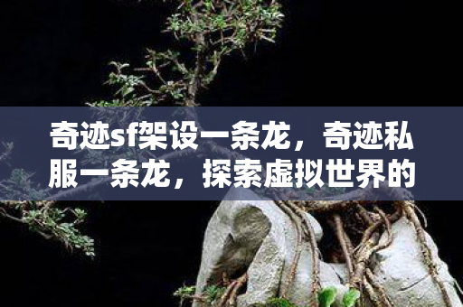 奇迹sf架设一条龙，奇迹私服一条龙，探索虚拟世界的便捷之路
