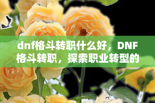 dnf格斗转职什么好，DNF格斗转职，探索职业转型的无限可能