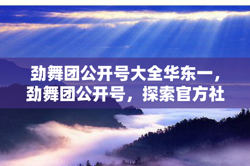 劲舞团公开号大全华东一，劲舞团公开号，探索官方社区的无限魅力