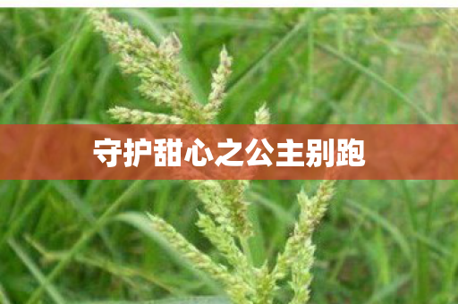 守护甜心之公主别跑 守护甜心之公主别跑