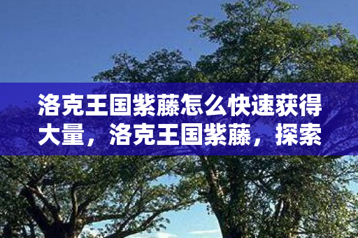 洛克王国紫藤怎么快速获得大量，洛克王国紫藤，探索王国中的神秘植物