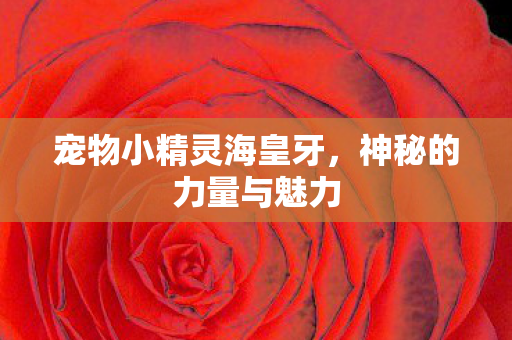 宠物小精灵海皇牙,神秘的力量与魅力 宠物小精灵海皇牙,神秘的力量与魅力