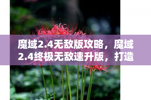 魔域2.4无敌版攻略，魔域2.4终极无敌速升版，打造极速升级新体验