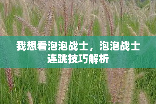 我想看泡泡战士,泡泡战士连跳技巧解析 我想看泡泡战士,泡泡战士连跳技巧解析