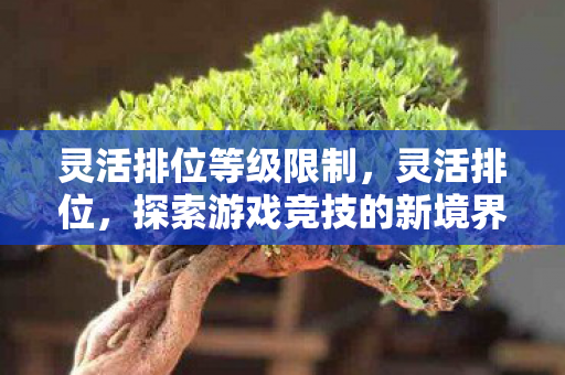 灵活排位等级限制，灵活排位，探索游戏竞技的新境界
