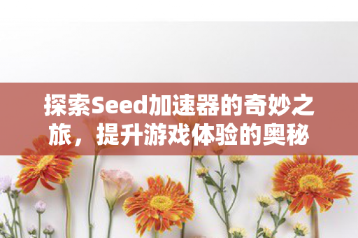 探索Seed加速器的奇妙之旅,提升游戏体验的奥秘 探索Seed加速器的奇妙之旅,提升游戏体验的奥秘