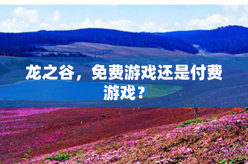 龙之谷,免费游戏还是付费游戏? 龙之谷,免费游戏还是付费游戏?