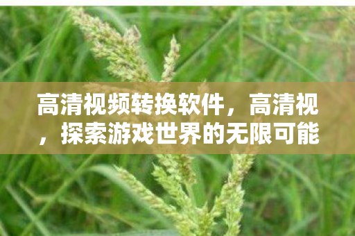 高清视频转换软件，高清视，探索游戏世界的无限可能