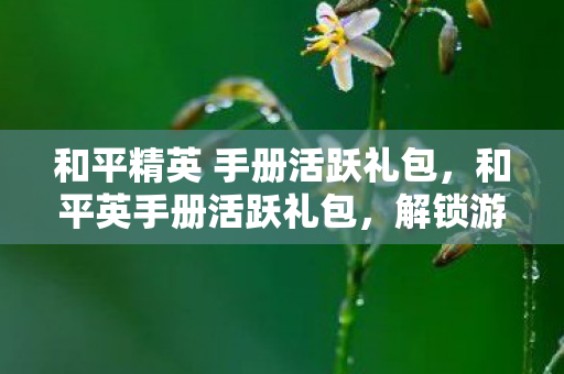 和平精英 手册活跃礼包，和平英手册活跃礼包，解锁游戏新体验，助力玩家快速成长
