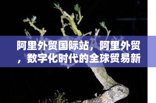 阿里外贸国际站，阿里外贸，数字化时代的全球贸易新引擎