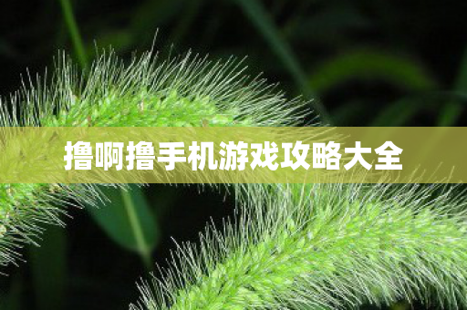撸啊撸手机游戏攻略大全 撸啊撸手机游戏攻略大全