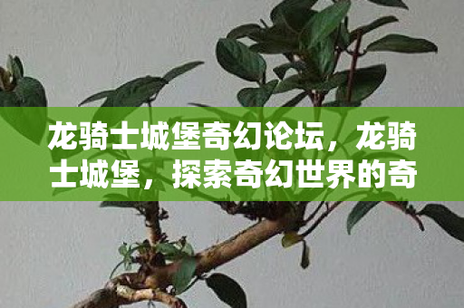 龙骑士城堡奇幻论坛,龙骑士城堡,探索奇幻世界的奇妙之旅 龙骑士城堡奇幻论坛,龙骑士城堡,探索奇幻世界的奇妙之旅