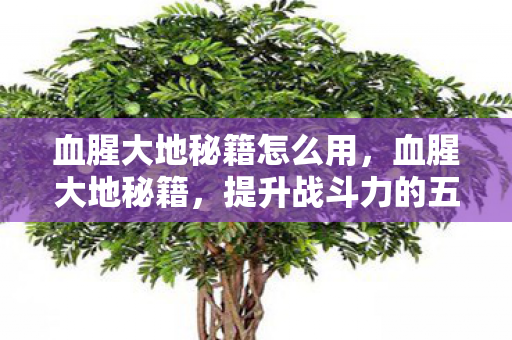 血腥大地秘籍怎么用,血腥大地秘籍,提升战斗力的五大策略 血腥大地秘籍怎么用,血腥大地秘籍,提升战斗力的五大策略