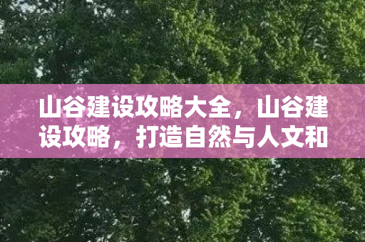山谷建设攻略大全,山谷建设攻略,打造自然与人文和谐共生的山谷景观 山谷建设攻略大全,山谷建设攻略,打造自然与人文和谐共生的山谷景观