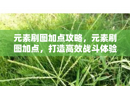 元素刷图加点攻略，元素刷图加点，打造高效战斗体验