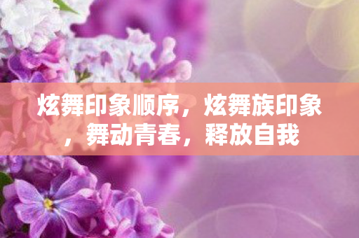炫舞印象顺序，炫舞族印象，舞动青春，释放自我