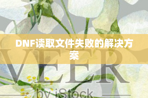 DNF读取文件失败的解决方案 DNF读取文件失败的解决方案