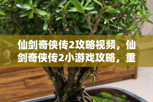 仙剑奇侠传2攻略视频，仙剑奇侠传2小游戏攻略，重温经典，掌握技巧