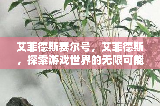 艾菲德斯赛尔号，艾菲德斯，探索游戏世界的无限可能