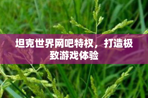 坦克世界网吧特权，打造极致游戏体验