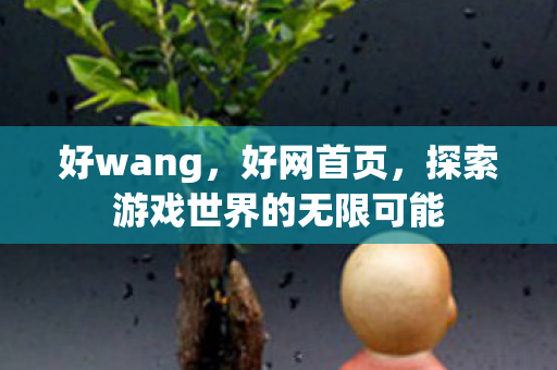 好wang,好网首页,探索游戏世界的无限可能 好wang,好网首页,探索游戏世界的无限可能