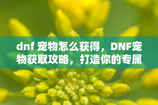 dnf 宠物怎么获得,DNF宠物获取攻略,打造你的专属萌宠 dnf 宠物怎么获得,DNF宠物获取攻略,打造你的专属萌宠