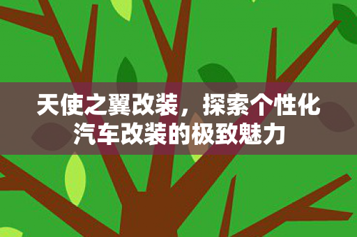 天使之翼改装,探索个性化汽车改装的极致魅力 天使之翼改装,探索个性化汽车改装的极致魅力