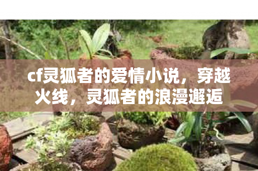 cf灵狐者的爱情小说，穿越火线，灵狐者的浪漫邂逅