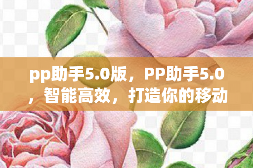 pp助手5.0版,PP助手5.0,智能高效,打造你的移动设备管理新体验 pp助手5.0版,PP助手5.0,智能高效,打造你的移动设备管理新体验