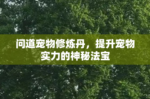 问道宠物修炼丹,提升宠物实力的神秘法宝 问道宠物修炼丹,提升宠物实力的神秘法宝