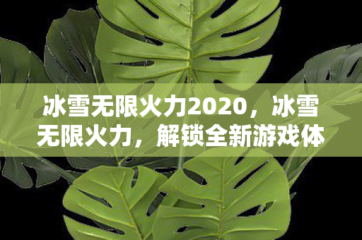冰雪无限火力2020，冰雪无限火力，解锁全新游戏体验