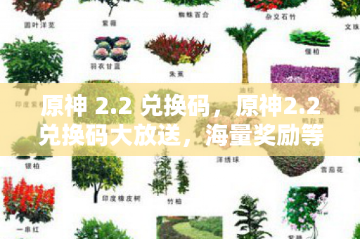 原神 2.2 兑换码,原神2.2兑换码大放送,海量奖励等你拿! 原神 2.2 兑换码,原神2.2兑换码大放送,海量奖励等你拿!