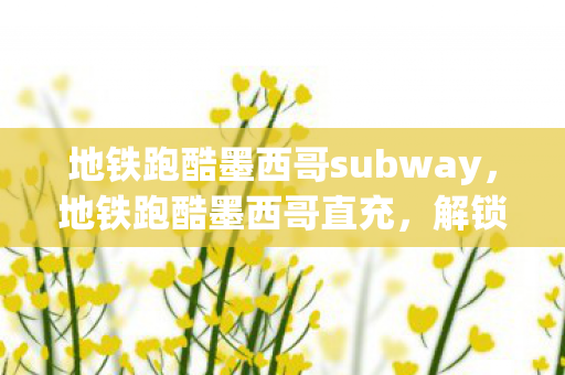 地铁跑酷墨西哥subway,地铁跑酷墨西哥直充,解锁无限可能的充值新方式 地铁跑酷墨西哥subway,地铁跑酷墨西哥直充,解锁无限可能的充值新方式