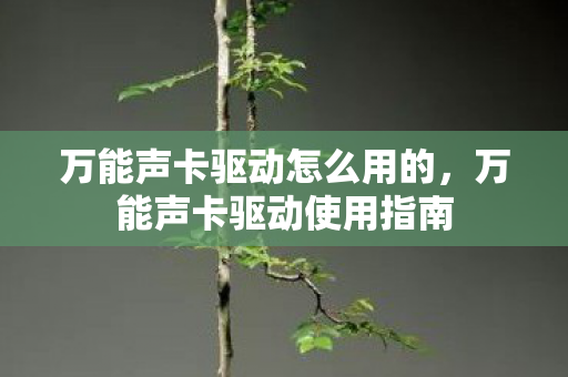 万能声卡驱动怎么用的,万能声卡驱动使用指南 万能声卡驱动怎么用的,万能声卡驱动使用指南