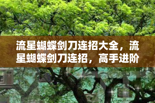 流星蝴蝶剑刀连招大全，流星蝴蝶剑刀连招，高手进阶的必备技巧
