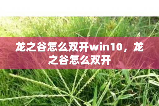 龙之谷怎么双开win10，龙之谷怎么双开
