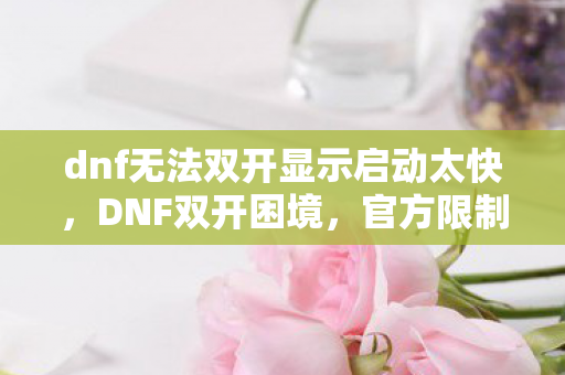 dnf无法双开显示启动太快,DNF双开困境,官方限制与资源分配的挑战 dnf无法双开显示启动太快,DNF双开困境,官方限制与资源分配的挑战