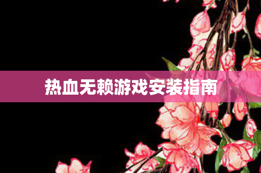 热血无赖游戏安装指南 热血无赖游戏安装指南